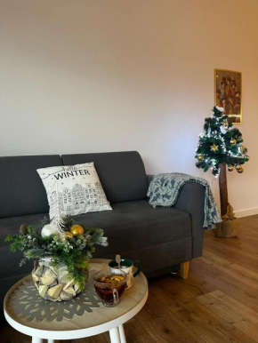 Leaf Apartament Łódź prywatne miejsce parkingowe